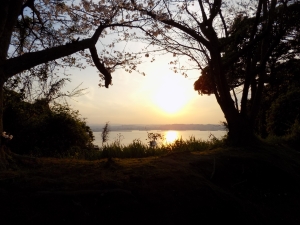 Dinosaur Park sunset across Kagoshima Bay.